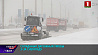 Сложные дорожные условия в Минске из-за обильного снегопада 