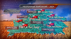 Уборочная кампания - 2024: зерновой каравай Беларуси уже весит 7 млн 742,6 тыс. тонн