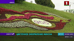 Почти полтора миллиона цветов украсили улицы Минска