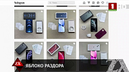 Почти каждый второй обманутый при покупке мобильных телефонов через соцсети -  из Гомельской области