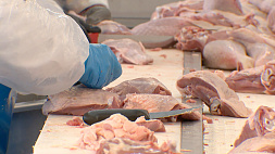 Минсельхозпрод Беларуси: ограничения на экспорт мяса птицы  - мера временная