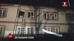 Взрыв газа в Добруше - хозяина квартиры спасли работники МЧС