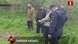 При задержании 30-летний житель Витебска был в недоумении, как правоохранители узнали о его тайном бизнесе