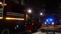 Мужчина погиб, еще 20 человек эвакуированы при пожаре девятиэтажки в Полоцке