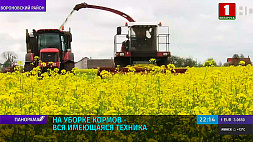 Белорусские аграрии приступили к заготовке трав первого укоса