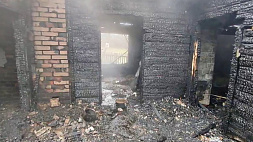 Дети сгорели на пожаре в Ляховичском районе