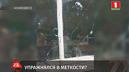 В Жлобинском районе из пневматики обстреляли здание фельдшерско-акушерского пункта