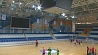 Сборная Беларуси по гандболу сыграет против сборной Румынии