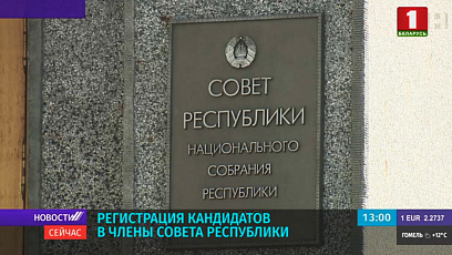 Центризбирком зарегистрировал кандидатов в верхнюю палату парламента - Совет Республики