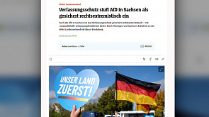 Партия "Альтернатива для Германии" объявлена правоэкстремистской в Саксонии 