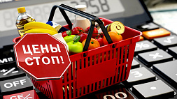 Автоматизированную систему анализа цен на импорт презентовали в Минске. Когда она заработает и что это даст покупателям