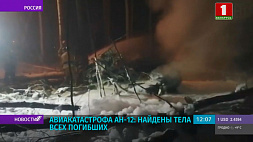 Авиакатастрофа Ан-12 в Иркутской области: найдены тела всех погибших