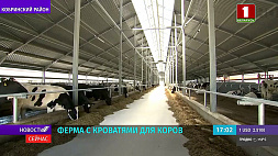 Ферму с кроватями для коров открыли в Кобринском районе 