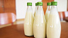 Беларусь вошла в пятерку мировых лидеров по производству молока на душу населения 