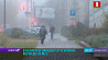 Ветер до 20 м/с. В Беларуси объявлен оранжевый уровень опасности
