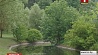 На смену теплой и сухой погоде в Беларусь  идут дожди