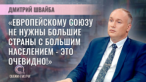 Дмитрий Швайба - политический эксперт, кандидат экономических наук, председатель Минской областной организации Белорусского профсоюза работников химической, горной и нефтяной отраслей промышленности