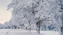 Оранжевый уровень опасности из-за сильного снега продлен в Беларуси на 16 декабря