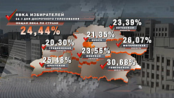 Единый день голосования в Беларуси: четверть избирателей уже сделала свой выбор, мониторинг ведут наблюдатели от СНГ