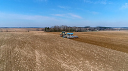 Весенняя посевная в Беларуси: погода помогает аграриям - засеяли порядка 10 % площадей