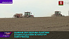 28 тысяч тонн льнотресты планируют получить аграрии Минской области