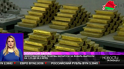 Золотовалютные резервы Беларуси за январь выросли на 1,2 % - до $8,5 млрд