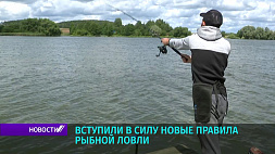 Новые правила рыбалки вступили в силу в Беларуси 