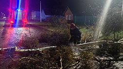 Проблемы с электроснабжением, сорванные крыши и падение деревьев - в Беларуси ликвидируют последствия непогоды