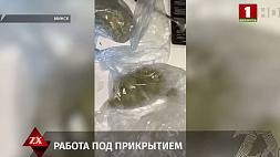 Двоих жителей Борисова задержал с поличным столичный наркоконтроль
