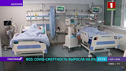 ВОЗ: COVID-смертность выросла на 8 %