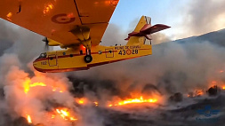 Лесные пожары бушуют на Тенерифе и в Канаде