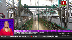 Крупнейшее хозяйство по поголовью свиней и крупного рогатого скота создадут в Беларуси 