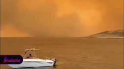 Лесные пожары в Греции: на Родосе объявлена эвакуация