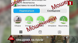 Трое жителей Гродно пытались купить в Instagram новогодние ели, но попались на удочку мошенников