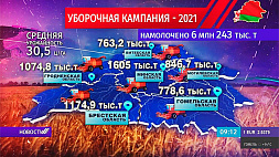Уборочная-2021: белорусский каравай весит 6 млн 243 тыс. тонн зерна