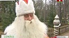 Эксклюзивный разговор с Дедом Морозом в Беловежской пуще