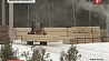 Президент Беларуси заслушал доклад об экспорте круглых лесоматериалов