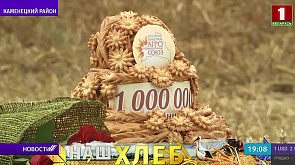 Устроили праздник и испекли огромный каравай - Брестская область перешагнула рубеж в миллион тонн зерна