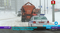 В Беларуси энергетики и спасатели продолжают ликвидировать последствия непогоды