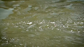 Спортсмены в Париже снимаются с заплывов из-за отравления водами Сены 