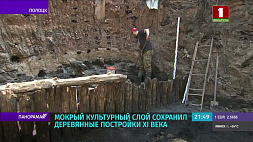 Полоцкая земля - клондайк для археологов: завершается первое за полвека масштабное археологическое исследование