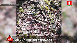 Боеприпасы времен Великой Отечественной уничтожили в Пружанском районе