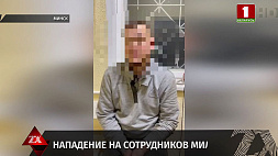 В Минске семейный скандалист напал на сотрудника милиции 