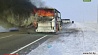 У сгоревшего в Казахстане автобуса не было лицензии на перевозку пассажиров 