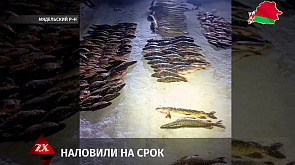 Рыбалка на озере Свирь для четверых друзей закончилась уголовной статьей