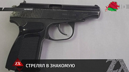 Нетрезвый житель Черикова травмировал из пневматического пистолета свою знакомую