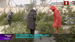 79 площадок по продаже новогодних деревьев заработают в белорусской столице