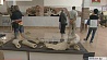 В Минском археологическом музее можно пройтись по следам древних обитателей белорусских земель 