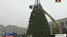 Монтаж главной елки Беларуси начнут в понедельник