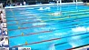 С четырьмя наградами  сборная Беларуси по плаванию возвращается с чемпионата Европы 